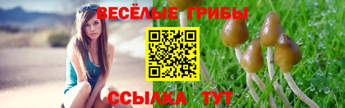 Псилоцибиновые грибы мицелий Грязи